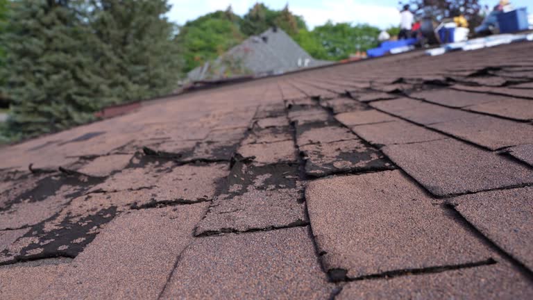 Best Roof Maintenance and Cleaning  in Glenolden, PA