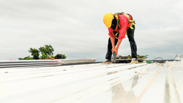 Best Steel Roofing  in Glenolden, PA