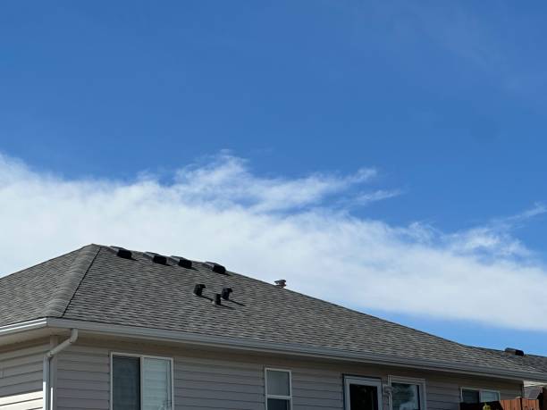 Best Roofing for New Construction  in Glenolden, PA
